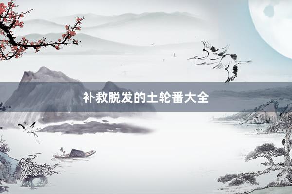补救脱发的土轮番大全